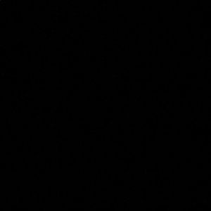 Meet your Posher, Dangelo